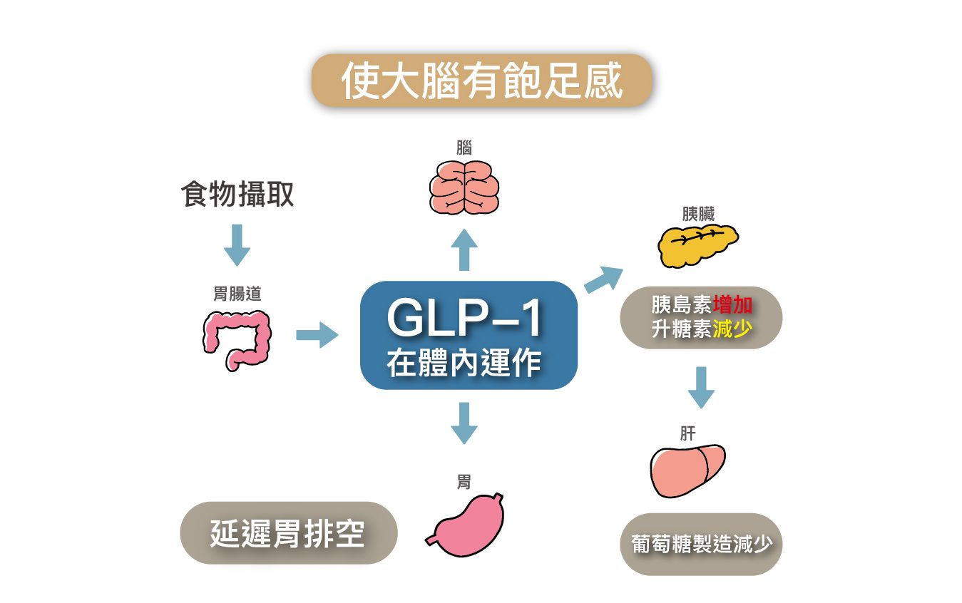 GLP-1類升糖素胜肽效果